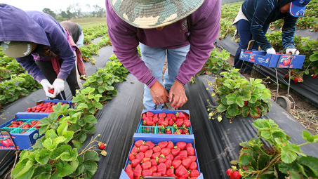 Mekong organic farming initiative receives US grant 