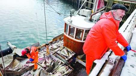 Vietnam, Norway share experience in aquaculture cultivation