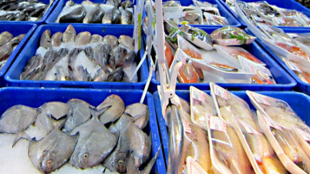 Ca Mau strives to earn 1.1 billion USD from aquatic export this year