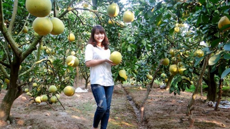 Hung Yen orange receives collective brand recognition