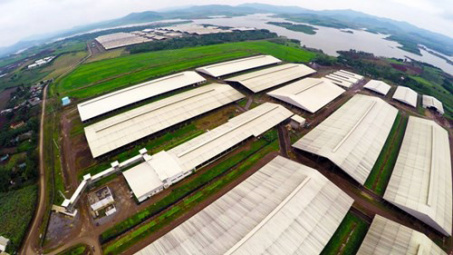 Canada holds promise for farms in Vietnam