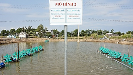 Thí điểm thành công đề án Hỗ trợ tiết kiệm điện  cho các hộ nuôi tôm