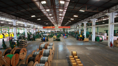  CTCP Dây cáp điện Việt Nam (CAV):  Tiến hành Đại hội cổ đông bất thường