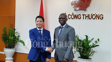 Bộ Công Thương và WB hợp tác thúc đẩy phát triển năng lượng tái tạo