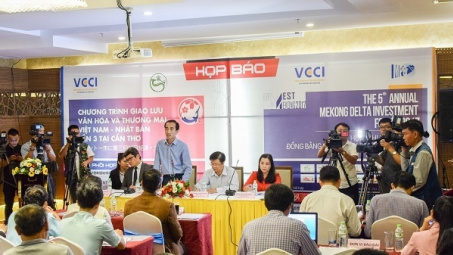 Can Tho city woos Japanese investors