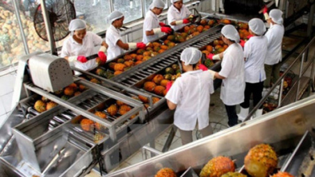 Fruits, vegetables export reach 3.16 billion USD in 11 months