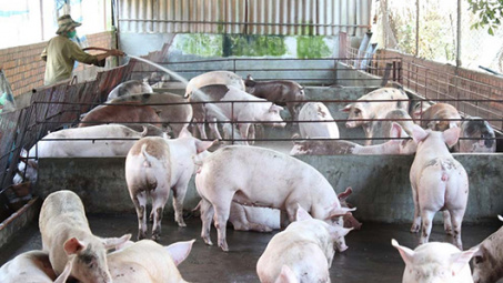 Livestock farmers urged to join production links