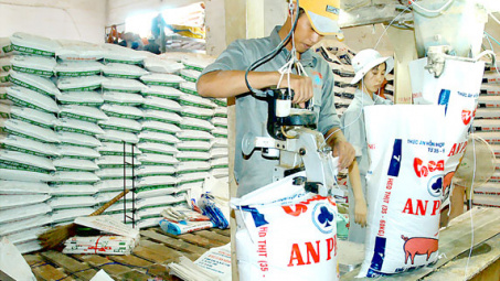 Ninh Thuan: Work begins on hi-tech animal feed production plant