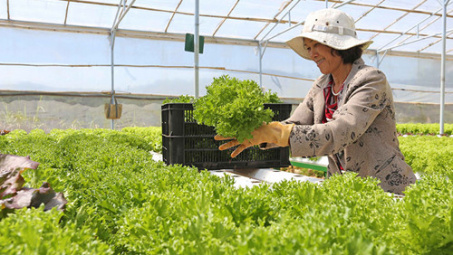 Vietnamese farm exports have big potential in China