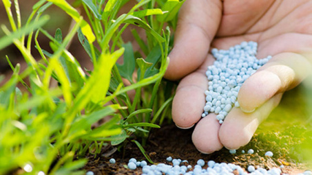 Áp thuế tự vệ phân bón: Thiết lập thị trường bình đẳng
