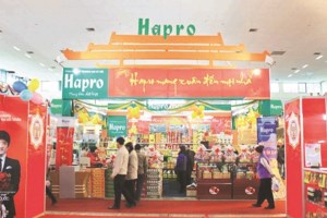 Phiên IPO gần 1.000 tỷ đồng của Hapro sẽ diễn ra vào 30/3