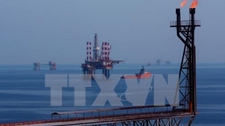Thị trường dầu mỏ “im ắng” sau một tuần mất giá