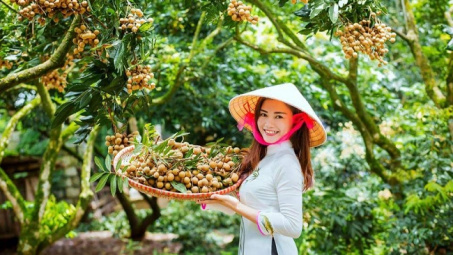 Thị trường Australia mở cửa với nhãn tươi Việt Nam 