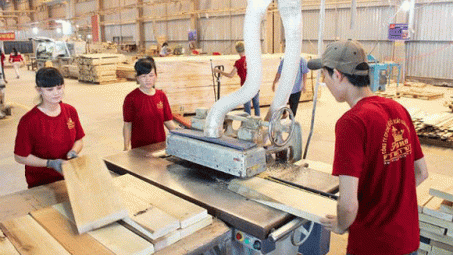 Ngành gỗ và đích ngắm 9 tỷ USD