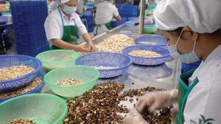 Nhật Bản hiện là đối tác thương mại lớn nhất của Việt Nam trong CPTPP