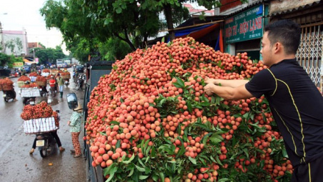 Hoa quả Việt xuất sang Trung Quốc sẽ bị truy xuất nguồn gốc