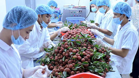 Quý I/2018: GDP ngành nông nghiệp tăng cao nhất trong 13 năm qua