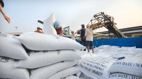 Philippines mở thầu mua gạo ngay trong tuần này