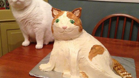 Đi vòng quanh thế giới mới biết, hóa ra chị em vụng có ở khắp mọi nơi