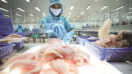 Dư địa lớn cho doanh nghiệp đầu tư chuỗi cung ứng lạnh