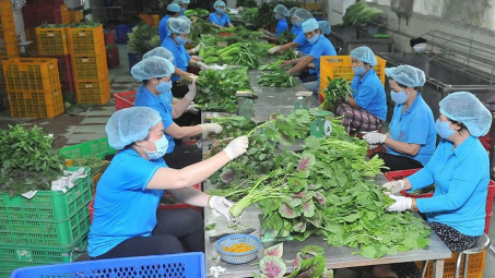 Hỗ trợ đến 15 tỷ đồng/dự án đầu tư cơ sở chế biến nông sản