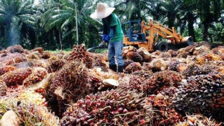 Cuộc chiến thương mại 39 tỷ USD