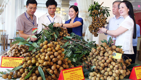 Hưng Yên: Đẩy mạnh tiêu thụ sản phẩm thế mạnh