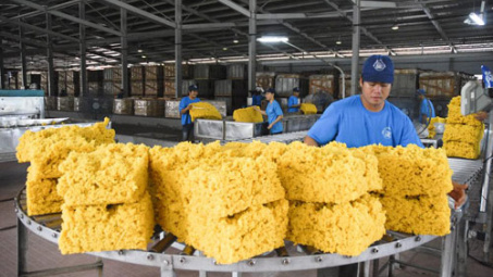Xuất khẩu cao su vẫn duy trì tốc độ tăng trưởng