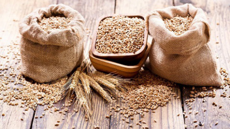 Thị trường nông sản ngày 6/6: Giá lúa mì kỳ tăng phiên thứ 2 liên tiếp