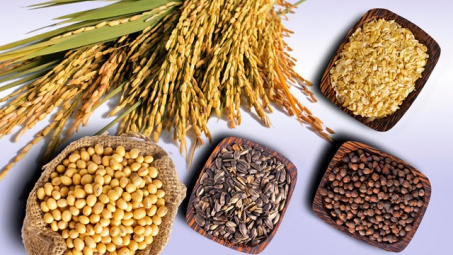Thị trường nông sản ngày 8/6: Cà phê arabica và cao su kỳ hạn đi xuống