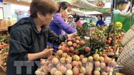 Saigon Co.op cam kết bao tiêu trái vải thiều tươi Lục Ngạn và Thanh Hà