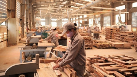 Tín hiệu vui cho ngành gỗ Việt Nam