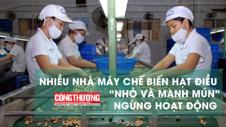 Ngày 22/6/2018 | Bản tin Sự kiện và Con số Công Thương