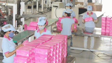 Tập đoàn Sojitz của Nhật Bản vừa mua lại CTCP Giấy Sài Gòn