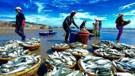 Việt Nam gia nhập Hiệp định PSMA