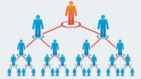 Quy trình tổ chức kiểm tra kiến thức pháp luật bán hàng đa cấp