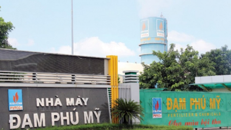 Đạm Phú Mỹ lãi 465 tỷ nửa đầu năm, vượt 5% kế hoạch năm