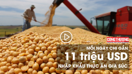 Mỗi ngày chi gần 11 triệu USD nhập khẩu thức ăn gia súc | Bản tin Sự kiện và Con số Công Thương ngày 1/8/2018