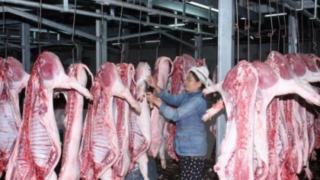 Giá thịt lợn hơi tăng kỷ lục