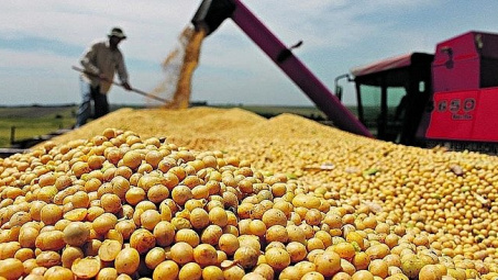 Thị trường nông sản ngày 8/8: Giá đậu tương giảm từ mức cao nhất 6 ngày do căng thẳng thương mại giữa My-Trung