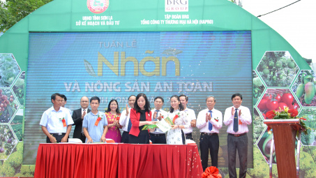 Khai trương tuần lễ Nhãn và nông sản an toàn tỉnh Sơn La tại Hà Nội