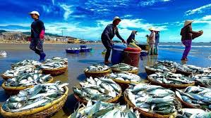 Xuất khẩu thủy sản có thể đạt gần 9 tỷ USD