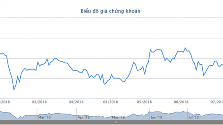 Nhựa Đông Á trả cổ tức 5% bằng cổ phiếu 