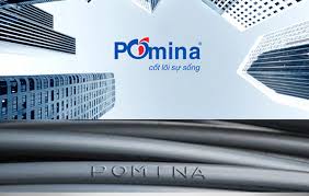 Ponima phát hành cổ phiếu, tăng vốn điều lệ lên 2.433 tỷ đồng.