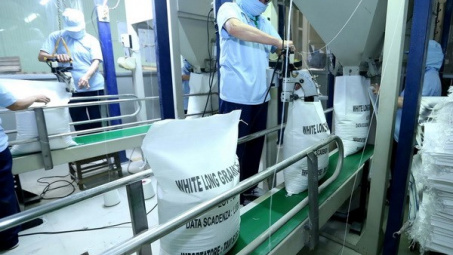 Ai Cập sẽ nhập khẩu một triệu tấn gạo trắng của Việt Nam