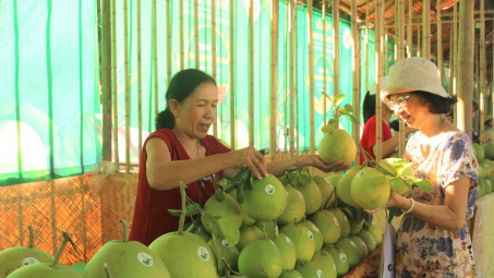 Thừa Thiên Huế: Khai mạc lễ hội Thanh trà 2018