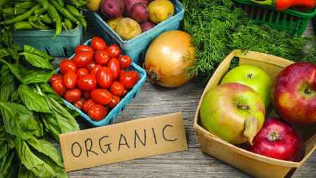 5 nguyên tắc sản xuất nông nghiệp hữu cơ