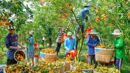 Nhìn lại những tác phẩm tham gia bình chọn ảnh Tuần thứ Hai