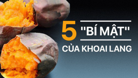 Ai đau dạ dày đừng dại giảm cân bằng khoai lang