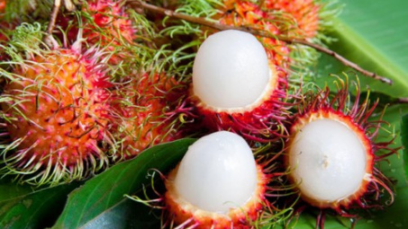 Lô chôm chôm đầu tiên xuất khẩu sang New Zealand
